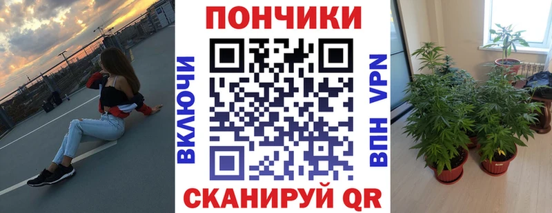 Купить наркотик аптеки Волосово Галлюциногенные грибы  Кокаин  МЕФ  А ПВП  Марихуана  ГАШИШ  АМФ 