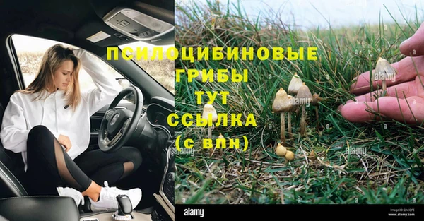 винт Снежинск