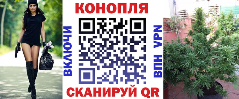 что такое   Волосово  Шишки марихуана SATIVA & INDICA 